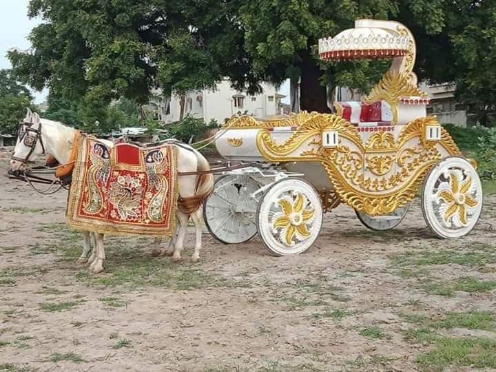 Wedding Celebration